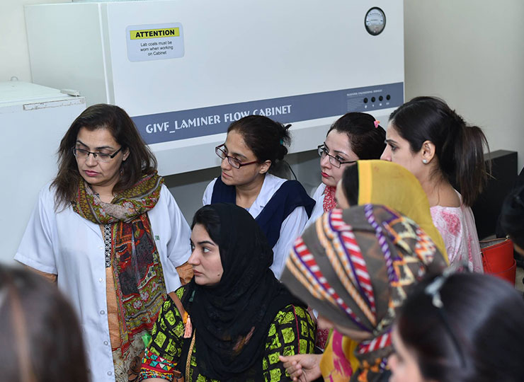 Hands on IUI Workshop