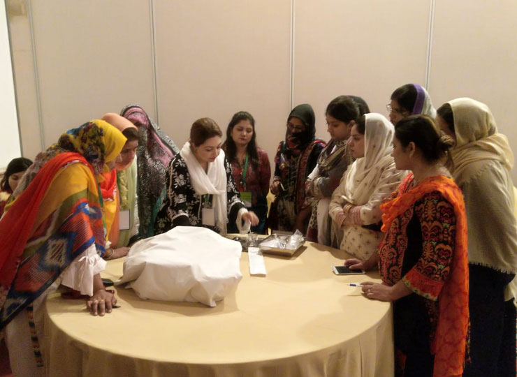 Seminar on “Sub-Fertility Awareness in Pakistan”
