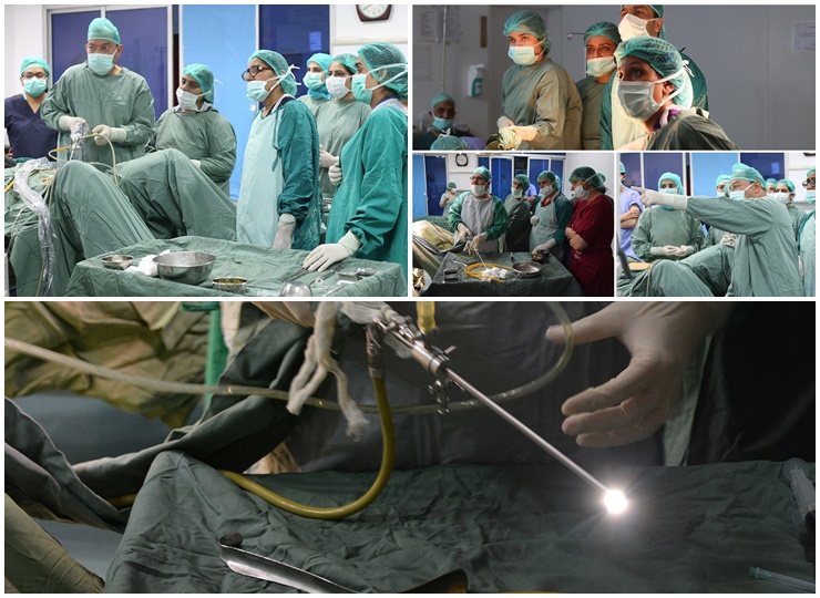 Hands on workshhop on Operative Laparoscopic & Hysteroscopic Surgery